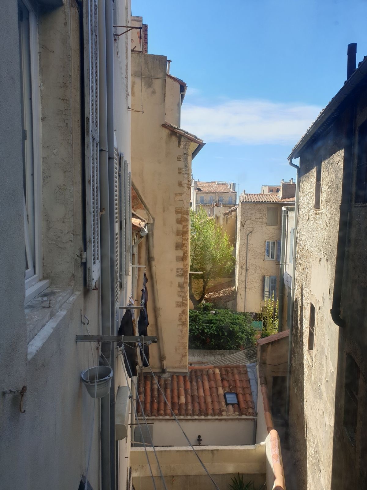 LA BELLE ESTELLE